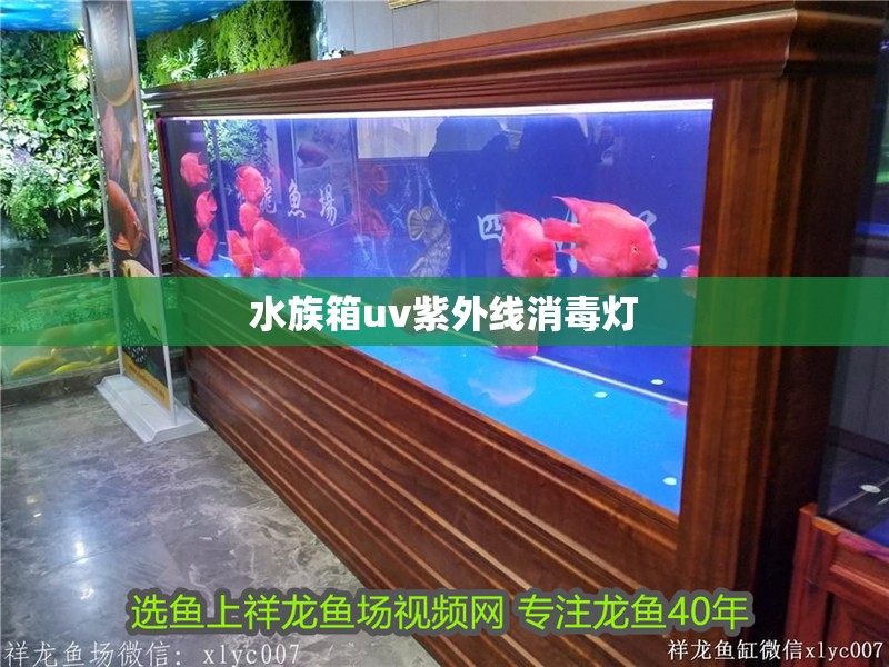 水族箱uv紫外線消毒燈