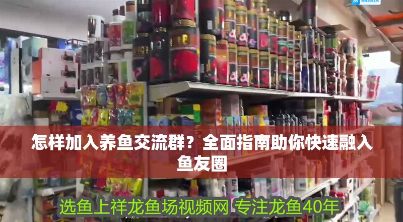 怎樣加入養魚交流群？全面指南助你快速融入魚友圈