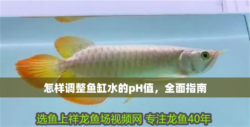 怎樣調整魚缸水的pH值，全面指南