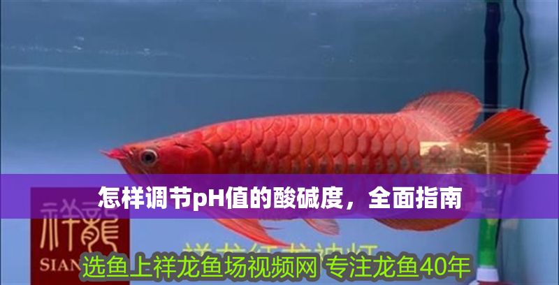 怎樣調節pH值的酸堿度，全面指南