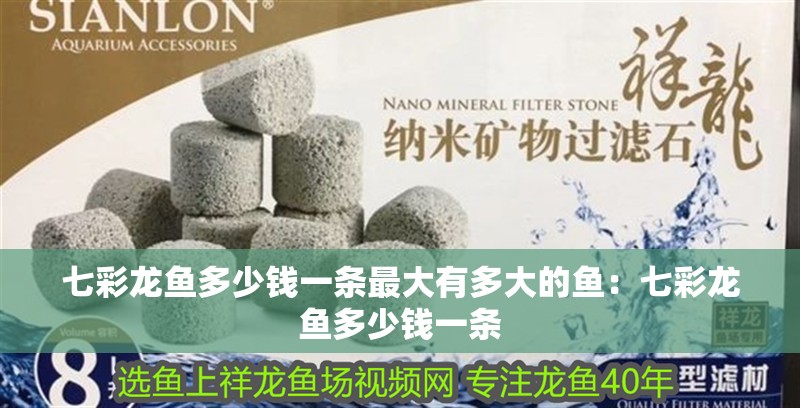 七彩龍魚多少錢一條最大有多大的魚：七彩龍魚多少錢一條