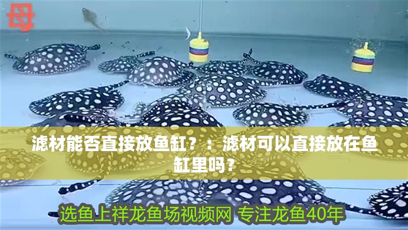 濾材能否直接放魚缸？：濾材可以直接放在魚缸里嗎？