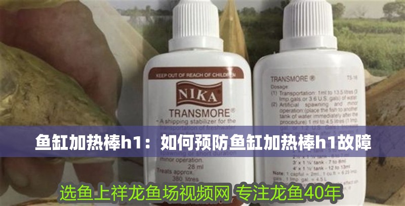 魚缸加熱棒h1：如何預防魚缸加熱棒h1故障