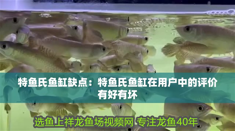 魚缸用增氧泵價格是多少:魚缸增氧機-xtrac增氧機-xtrac增氧機 特魚氏魚缸缺點:特魚氏魚缸在用戶中的評價有好有壞 魚缸百科 特魚氏魚缸缺點:特魚氏魚缸在用戶中的評價有好有壞 特魚氏魚缸缺點:特魚氏魚缸在用戶中的評價有好有壞 魚缸百科