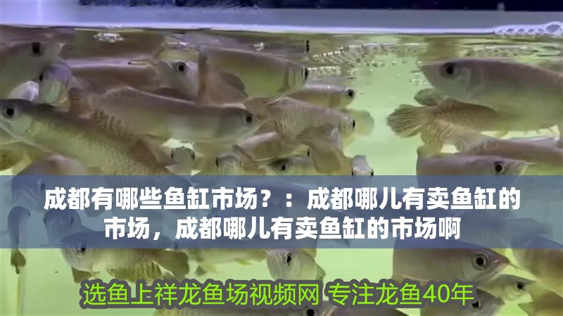 成都有哪些魚缸市場？：成都哪兒有賣魚缸的市場，成都哪兒有賣魚缸的市場啊