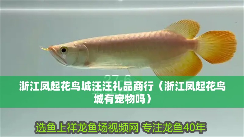 <strong><mark>浙江</mark></strong>鳳起花鳥城汪汪禮品商行（<strong><mark>浙江</mark></strong>鳳起花鳥城有寵物嗎）