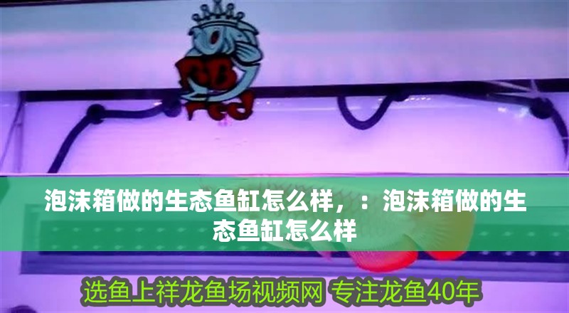 泡沫箱做的生態魚缸怎么樣，：泡沫箱做的生態魚缸怎么樣