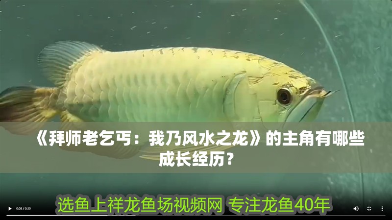 《拜師老乞丐：我乃風(fēng)水之龍》的主角有哪些成長經(jīng)歷？