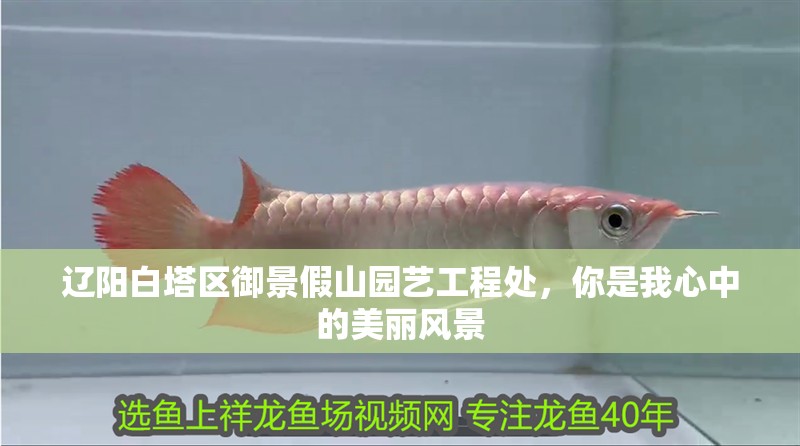 遼陽白塔區御景假山園藝工程處，你是我心中的美麗風景