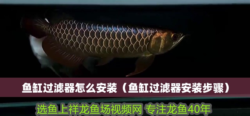 魚缸過濾器怎么安裝（魚缸過濾器安裝步驟）