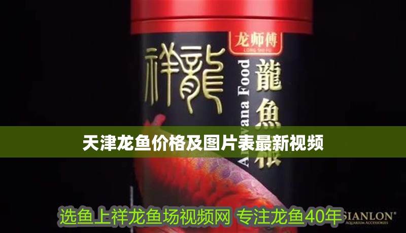 天津龍魚價格及圖片表最新視頻