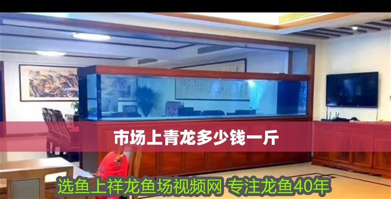 市場(chǎng)上青龍多少錢一斤