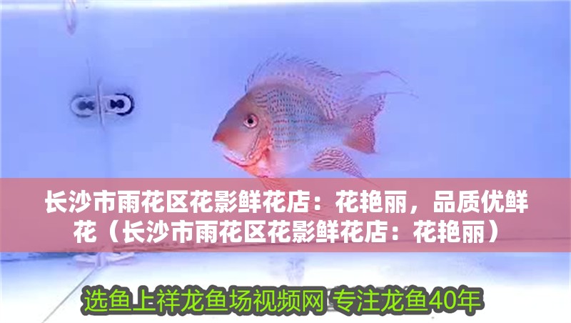 長沙市雨花區花影鮮花店：花艷麗，品質優鮮花（長沙市雨花區花影鮮花店：花艷麗）