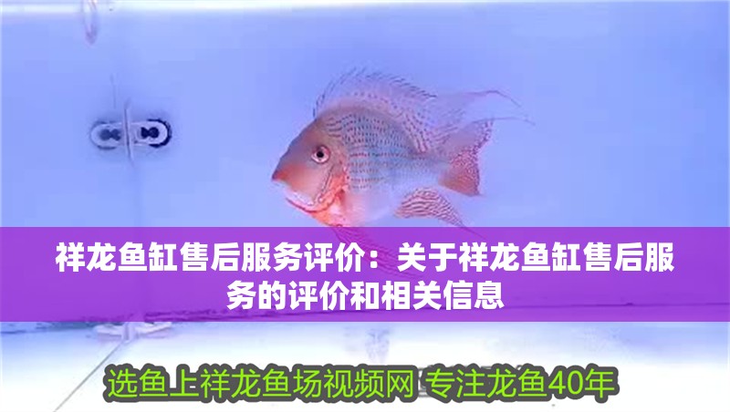 祥龍魚缸售后服務評價：關于祥龍魚缸售后服務的評價和相關信息