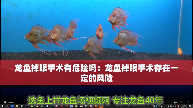 龍魚掉眼手術(shù)有危險嗎：龍魚掉眼手術(shù)存在一定的風(fēng)險