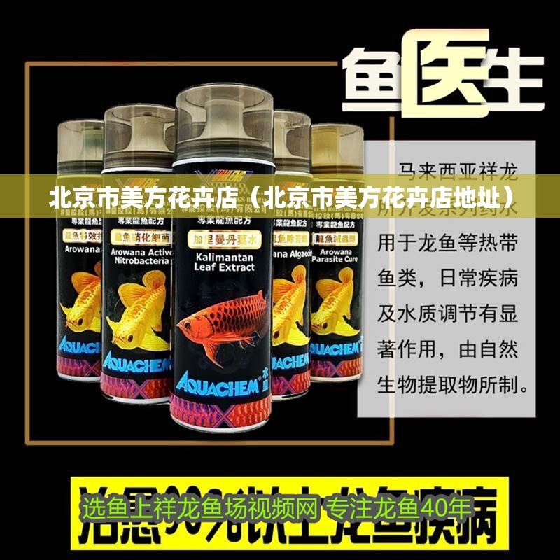 北京市美方花卉店（北京市美方花卉店地址）