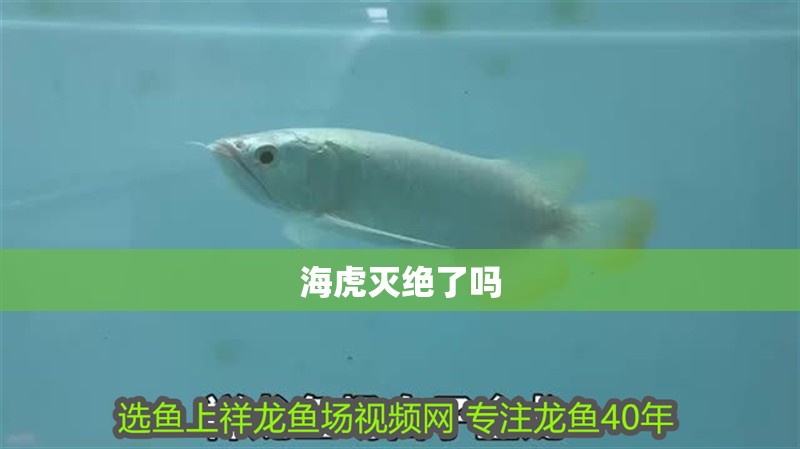 海虎滅絕了嗎