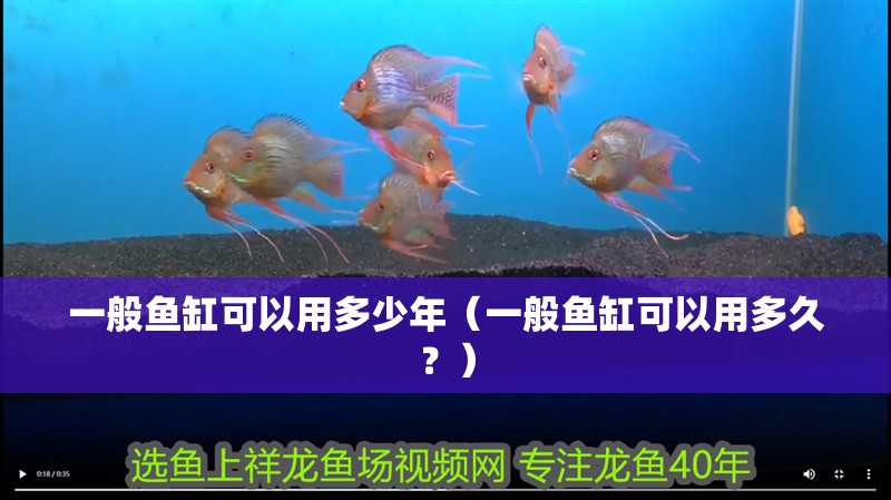 一般魚缸可以用多少年（一般魚缸可以用多久？）