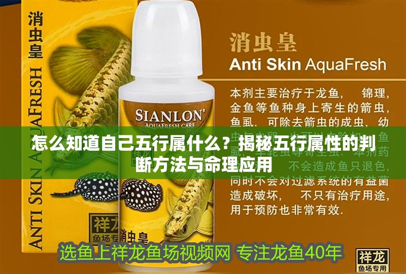 怎么知道自己五行屬什么？揭秘五行屬性的判斷方法與命理應用