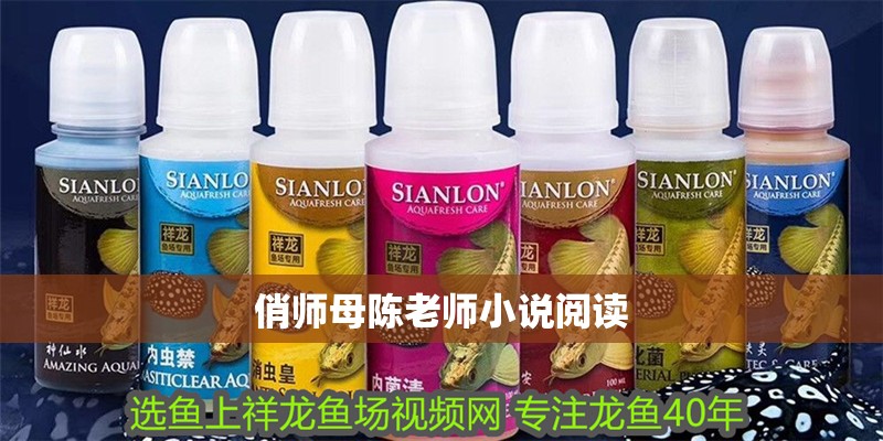 俏師母陳老師小說閱讀