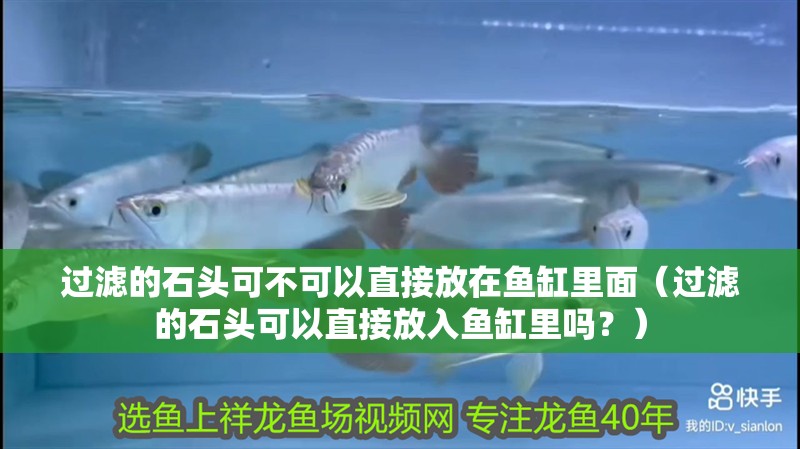 過濾的石頭可不可以直接放在魚缸里面（過濾的石頭可以直接放入魚缸里嗎？）