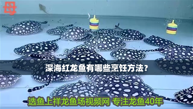 深海紅龍魚有哪些烹飪方法？