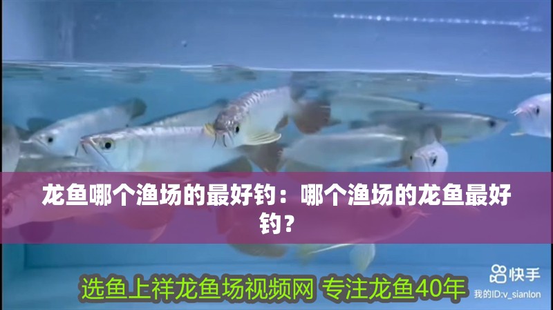 龍魚(yú)哪個(gè)漁場(chǎng)的最好釣：哪個(gè)漁場(chǎng)的龍魚(yú)最好釣？