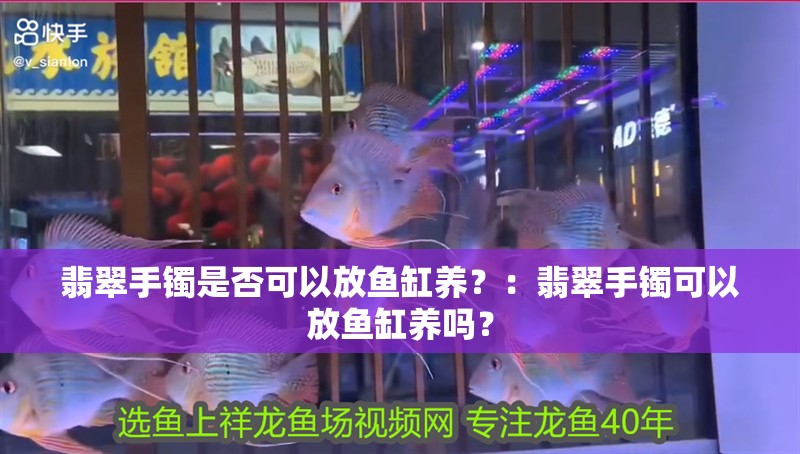 翡翠手鐲是否可以放魚缸養？：翡翠手鐲可以放魚缸養嗎？