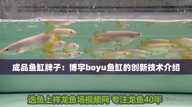 成品魚缸牌子：博宇boyu魚缸的創新技術介紹