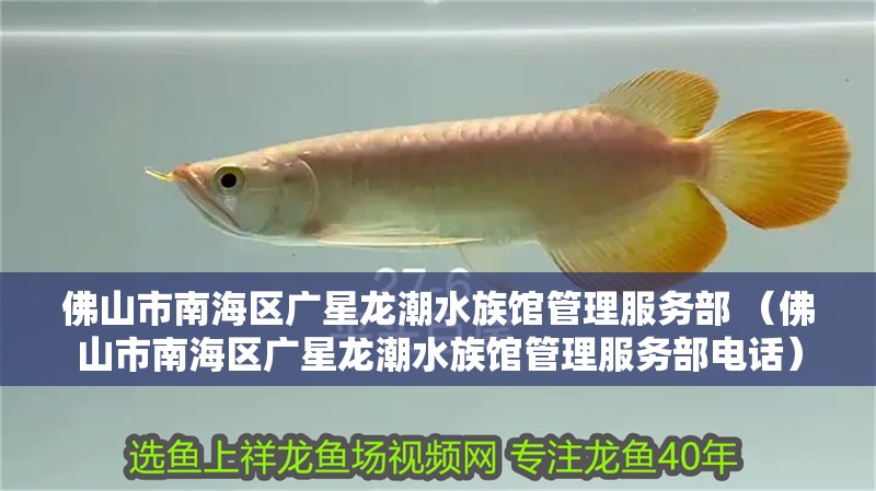 佛山市南海區(qū)廣星龍潮水族館管理服務(wù)部 （佛山市南海區(qū)廣星龍潮水族館管理服務(wù)部電話）