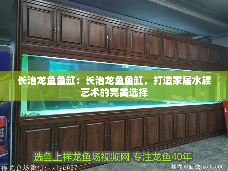 長治龍魚魚缸：長治龍魚魚缸，打造家居水族藝術的完美選擇