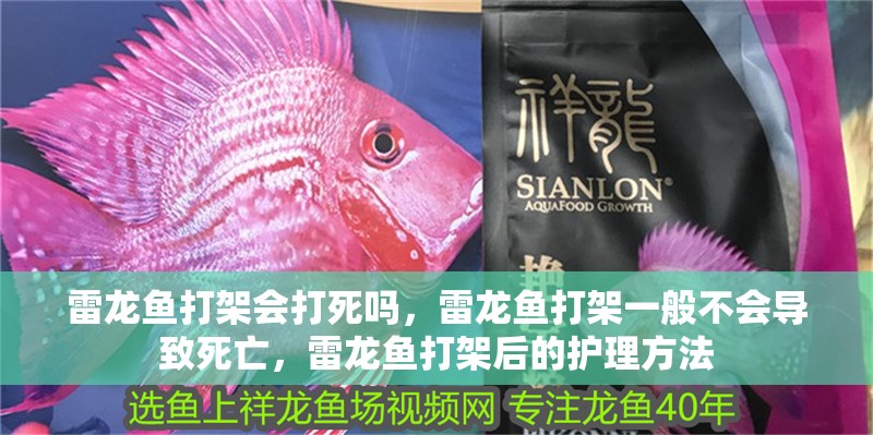 雷龍魚打架會打死嗎，雷龍魚打架一般不會導致死亡，雷龍魚打架后的護理方法