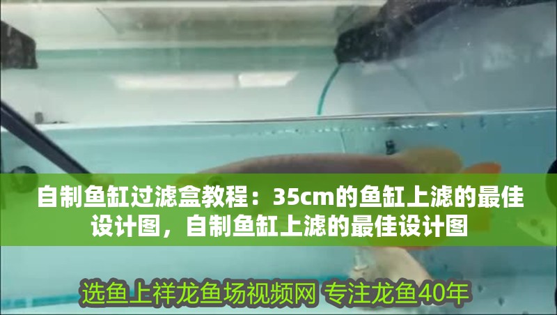自制魚缸過濾盒教程：35cm的魚缸上濾的最佳設計圖，自制魚缸上濾的最佳設計圖