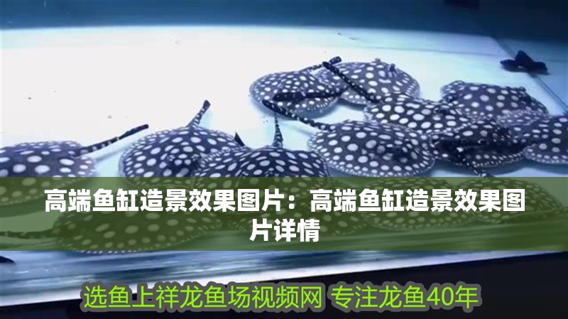高端魚缸造景效果圖片：高端魚缸造景效果圖片詳情