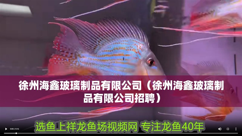 徐州海鑫玻璃制品有限公司（徐州海鑫玻璃制品有限公司招聘）