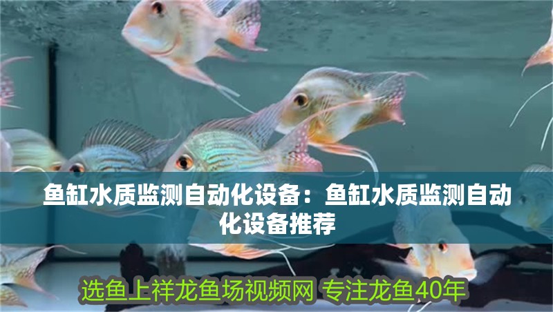 魚缸水質監測自動化設備：魚缸水質監測自動化設備推薦