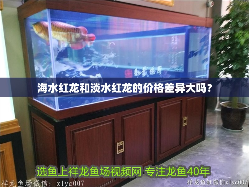 海水紅龍和淡水紅龍的價(jià)格差異大嗎？