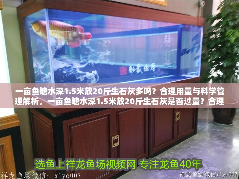 詳細閱讀:一畝魚塘水深1.5米放20斤生石灰多嗎?合理用量與科學管理解析,一畝魚塘水深1.5米放20斤生石灰是否過量?合理用量與科學管理詳解 一畝魚塘水深1.5米放20斤生石灰多嗎?合理用量與科學管理解析,一畝魚塘水深1.5米放20斤生石灰是否過量?合理用量與科學管理詳解