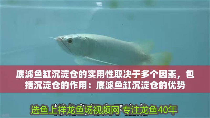 底濾魚缸沉淀倉的實用性取決于多個因素，包括沉淀倉的作用：底濾魚缸沉淀倉的優勢