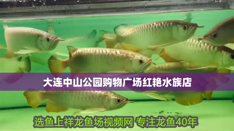 大連中山公園購(gòu)物廣場(chǎng)紅艷水族店