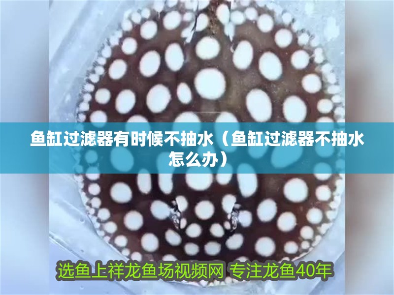 魚缸過濾器有時候不抽水（魚缸過濾器不抽水怎么辦）