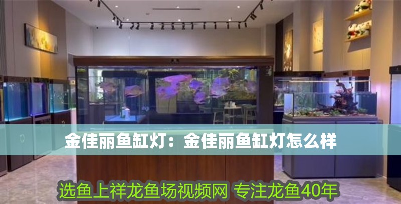 金佳麗魚缸燈：金佳麗魚缸燈怎么樣