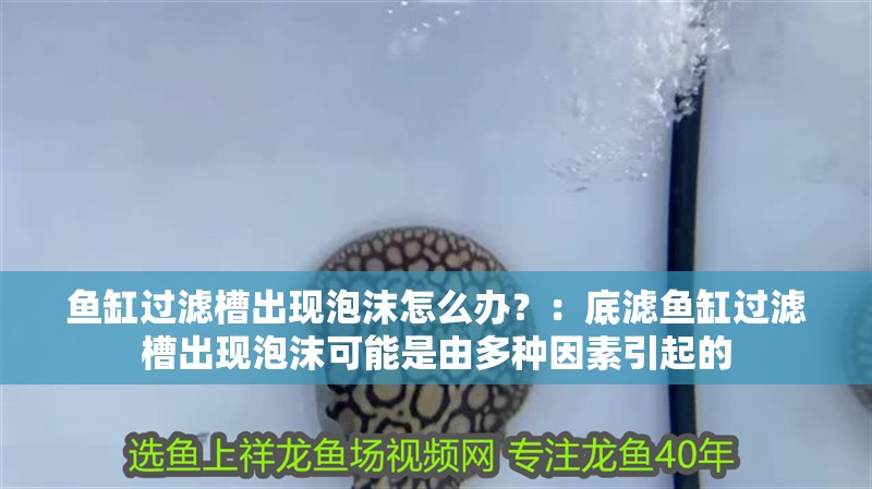魚缸過濾槽出現(xiàn)泡沫怎么辦？：底濾魚缸過濾槽出現(xiàn)泡沫可能是由多種因素引起的