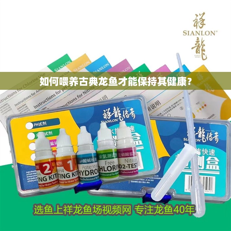 如何喂養(yǎng)古典龍魚才能保持其健康？