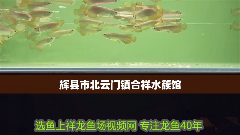 輝縣<strong><mark>市北</mark></strong>云門鎮合祥水簇館