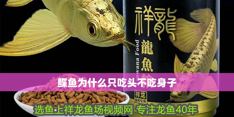 鰈魚(yú)為什么只吃頭不吃身子