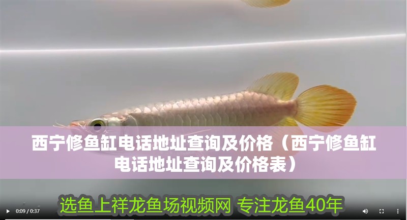 西寧修魚缸電話地址查詢及價格（西寧修魚缸電話地址查詢及價格表）