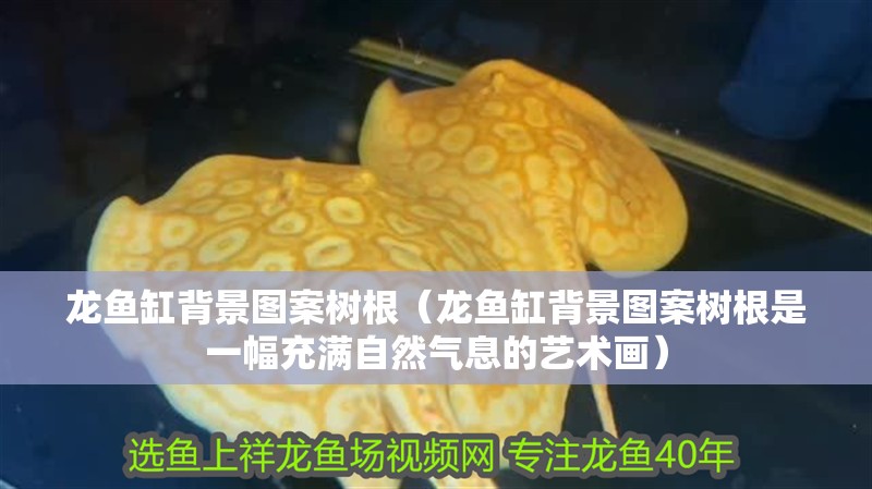 龍魚缸背景圖案樹根（龍魚缸背景圖案樹根是一幅充滿自然氣息的藝術畫）