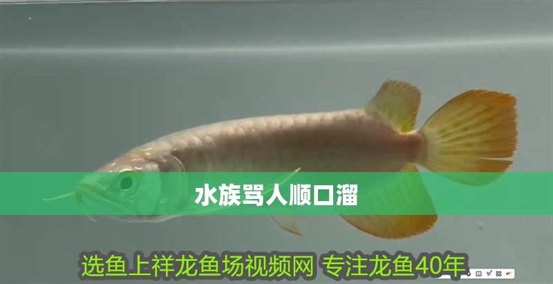水族罵人順口溜