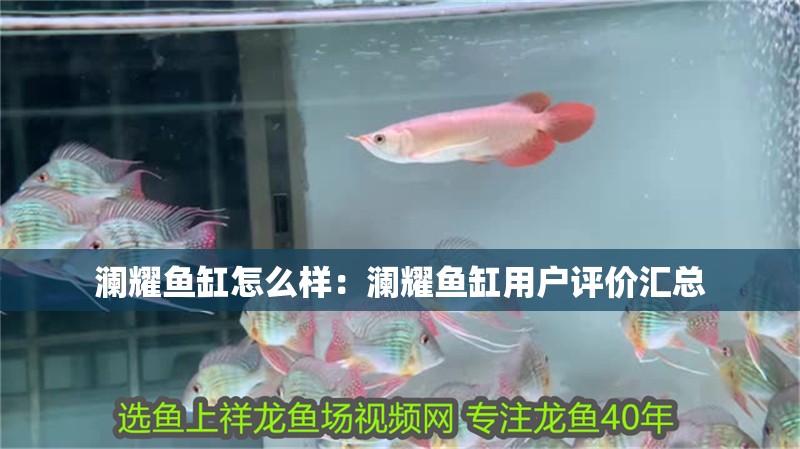 瀾耀魚(yú)缸怎么樣：瀾耀魚(yú)缸用戶評(píng)價(jià)匯總